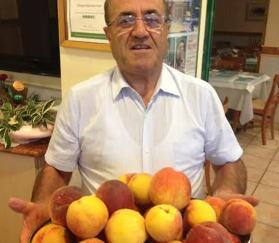 Hotel Ristorante Pozzi Bellaria-Igea Marina